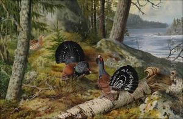 Metsojensoidintaa. Oil Painting by Matti Karppanen