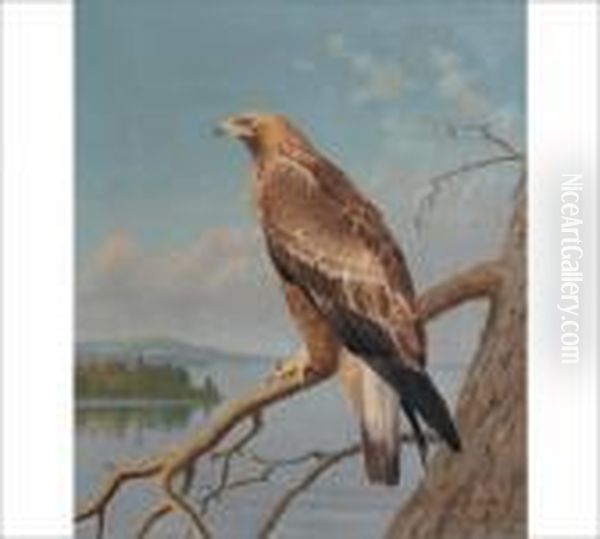 Eagle Oil Painting by Matti Karppanen