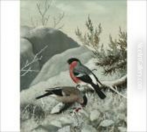 Bullfinches Oil Painting by Matti Karppanen