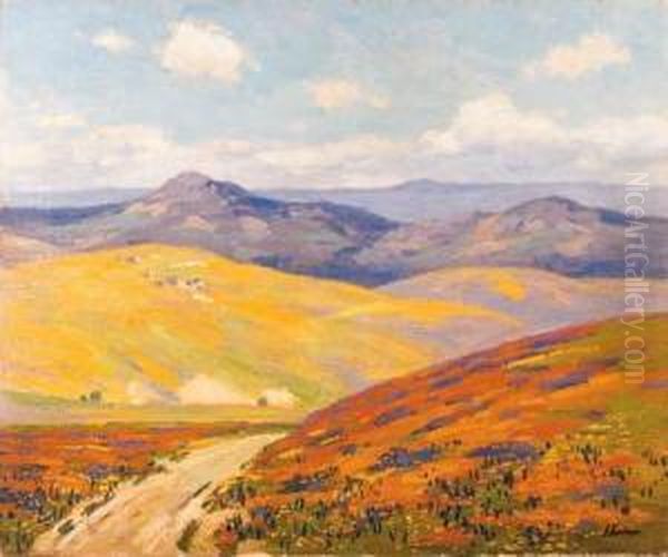 Springtime In Foothills Of The Tehachapi Mountains,california Oil Painting by Ferdinand Kaufmann