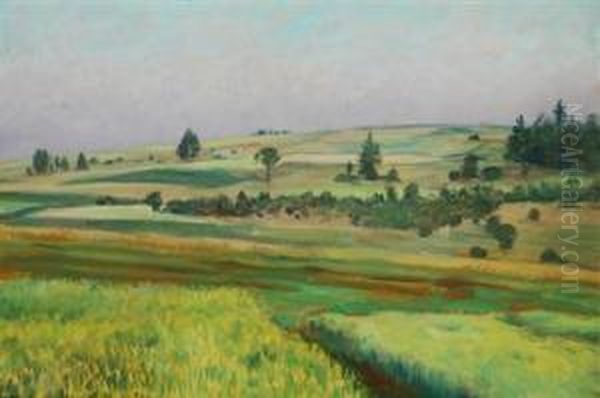 A Summer Morning Oil Painting by Frantisek Kavan