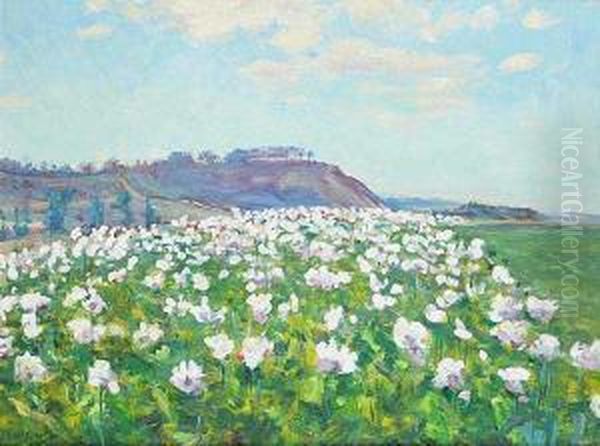 Poppies In Flower Near Libunec Oil Painting by Frantisek Kavan