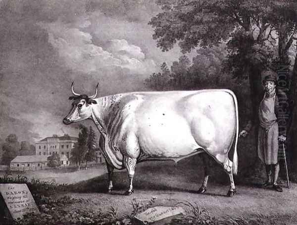 The Baron, a prize shorthorn (The Nannau White Cow), 1824 Oil Painting by Daniel Clowes