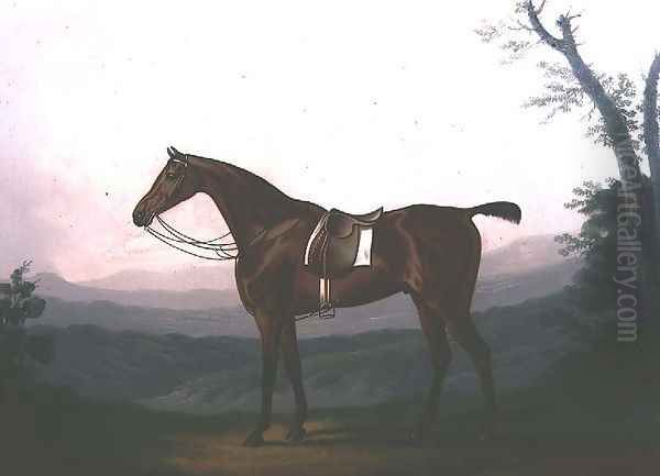 Portrait of a Race Horse Oil Painting by Daniel Clowes