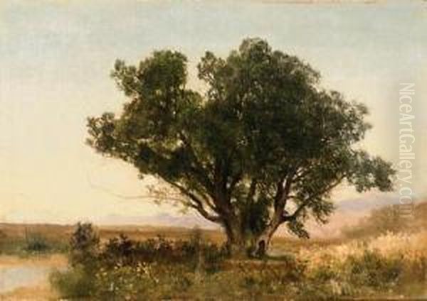 The Front Range, Colorado Oil Painting by John Frederick Kensett