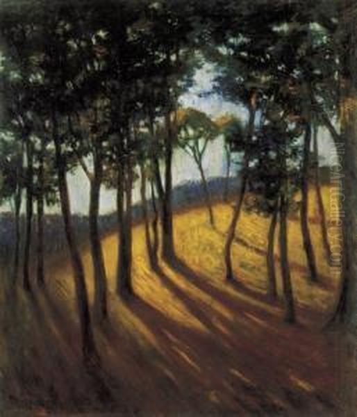 Grove In A Sunny Afternoon Oil Painting by Josef Karoly Kernstok