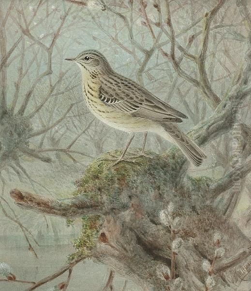 A Tree Pipit Oil Painting by Johan Gerard Keulemans