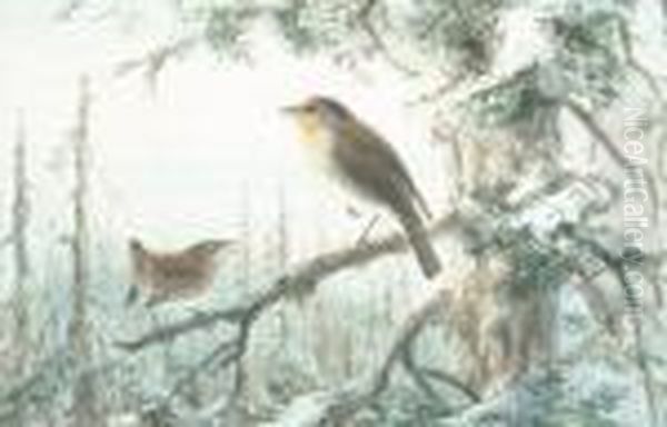 A Robin And A Wren On A Branch; A
 Tropical Bird; An Exotic Finch; Mallards Put To Flight By A Falcon; A 
Lapwing With Young Oil Painting by Johan Gerard Keulemans