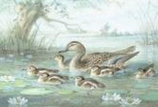 A Cuckoo; Tits Mobbing A Little 
Owl; A Bluetit; A Mallard On The Water With Young; A Blackbird Oil Painting by Johan Gerard Keulemans