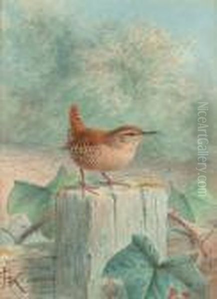 Wren Chirruping Oil Painting by Johan Gerard Keulemans