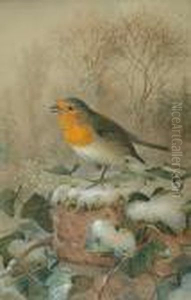 Winter Robin Oil Painting by Johan Gerard Keulemans