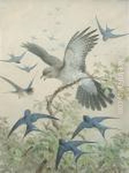 Swallows Mobbing A Cuckoo Oil Painting by Johan Gerard Keulemans