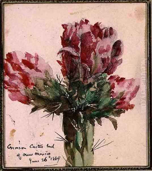 Crimson Cactus Bud of New Mexico, 1869 Oil Painting by Vincent Colyer