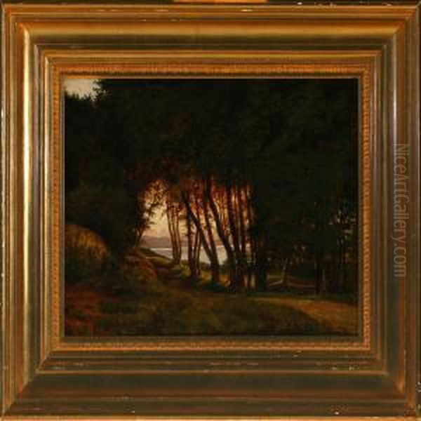 Study Of The Forrest At Fureso, Evening Oil Painting by Anton Edvard Kieldrup