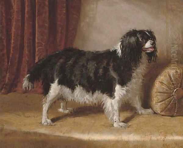 A spaniel on the divan Oil Painting by John Carter