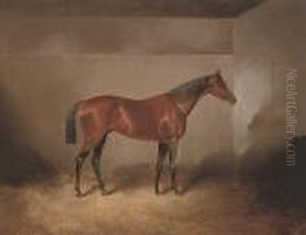 A Bay Hunter In A Stable Oil Painting by James Scott Kinnear