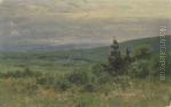 Abend Uber Dem Taunus Oil Painting by Nelson Gray Kinsley