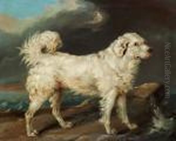 Friederich Kiorboe Ascribed To: A Dog On A Cliff At The Sea Oil Painting by Carl Fredrik Kioerboe