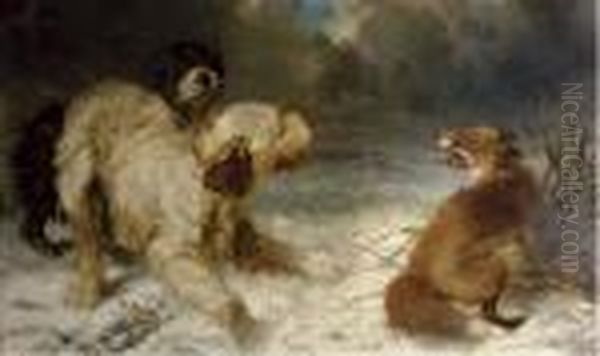 A Fox Trapped By Two Hunting Dogs Oil Painting by Carl Fredrik Kioerboe