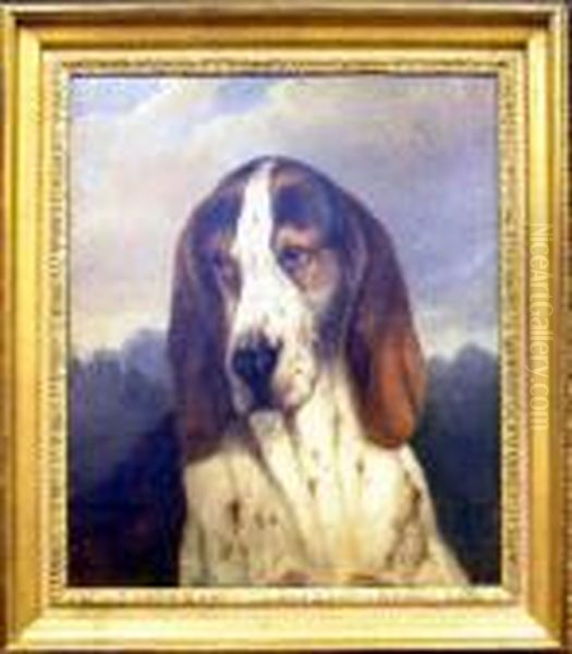 Head Of A Bassett Hound Oil Painting by Carl Fredrik Kioerboe