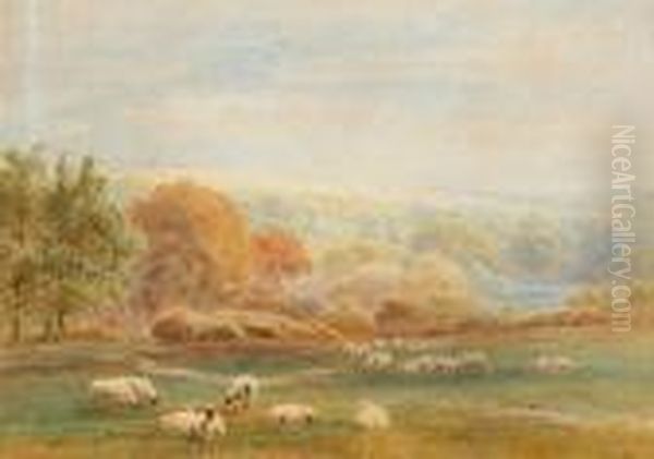 Sheep Grazing In A Landscape Oil Painting by Roberto Angelo Kittermaster Marshall