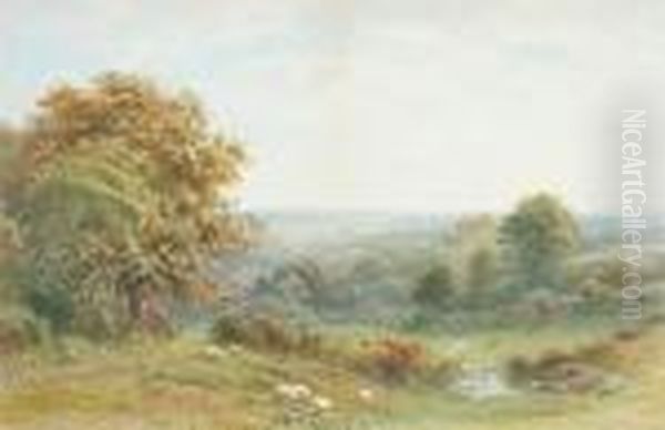 Sheep Grazing In An Extensive Landscape Oil Painting by Roberto Angelo Kittermaster Marshall