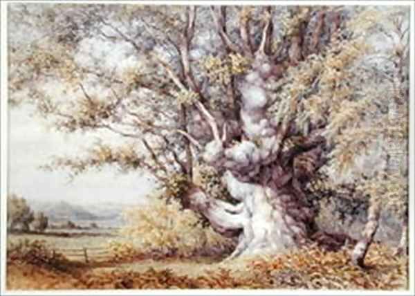 Squirrels in an Ancient Oak Tree Oil Painting by John Skinner Clifton