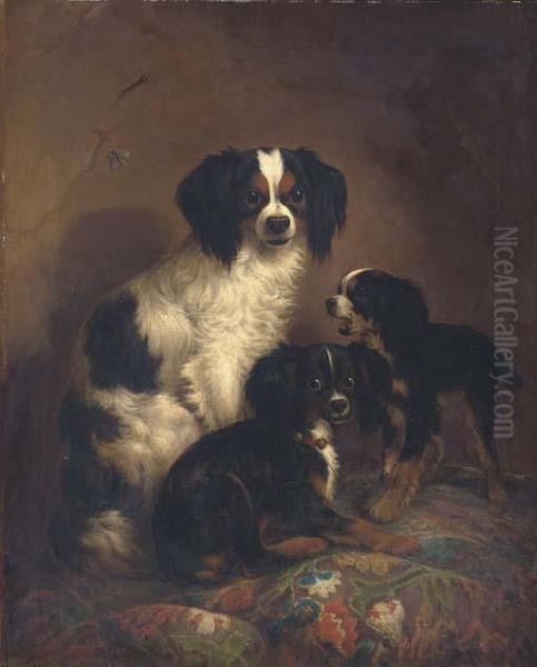 Three King Charles Spaniels Oil Painting by Joseph Augustus Knip