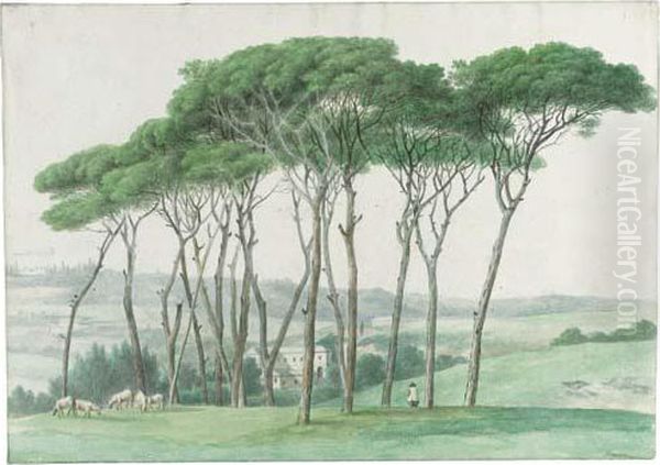 Pine Trees On A Rise At Monte Mario, Near Rome Oil Painting by Joseph Augustus Knip