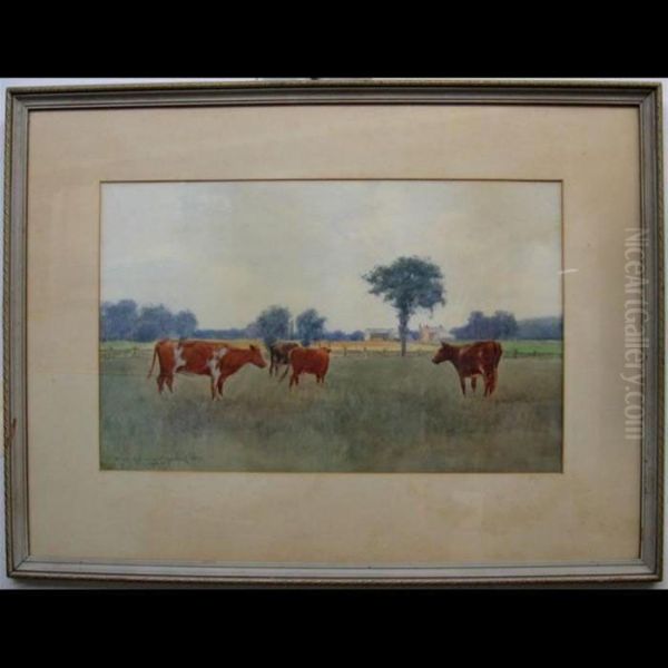 Grazing Cattle Oil Painting by Farquhar Mcgillivr. Knowles