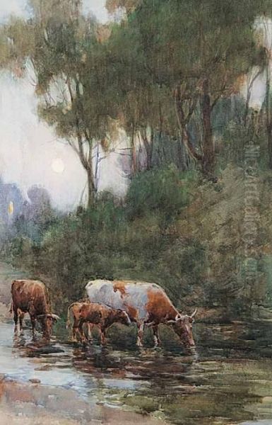 Untitled - Cows At Dusk Oil Painting by Farquhar Mcgillivr. Knowles