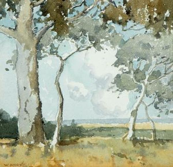 Gumtrees In Landscape Oil Painting by William Dunn Knox