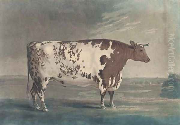 The Ketton Ox, by Robert Pollard Oil Painting by George Cuitt