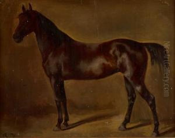 Portrat Eines Rappen, Wohl Pferd Von Baron Guiguer De Prangins Oil Painting by Rudolf Koller