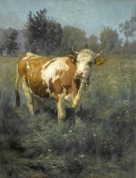 Kuh Auf Der Wiese Oil Painting by Rudolf Koller