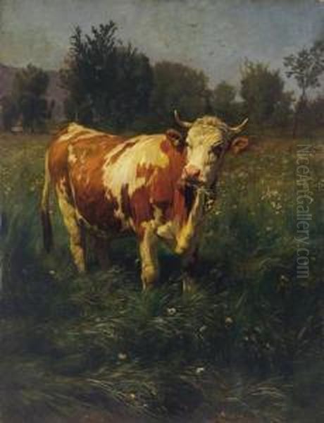 Kuh Auf Der Wiese. Oil Painting by Rudolf Koller