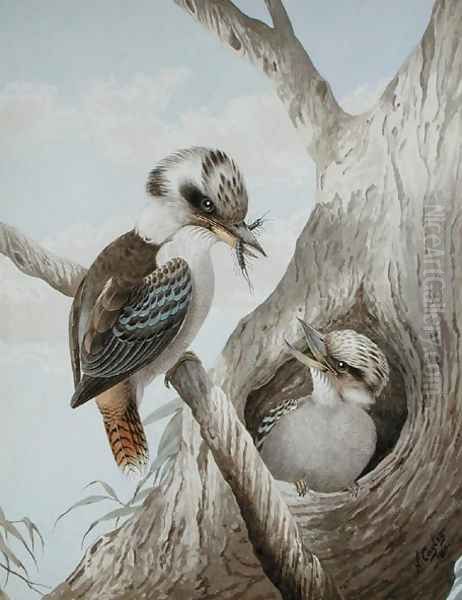 Kookaburras Feeding at a Nest in a Tree, 1892 Oil Painting by Neville Henry Peniston Cayley