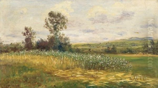 Hochsommerliche Landschaft Mit Bluhenden Feldern. Oil Painting by Julius Kornbeck