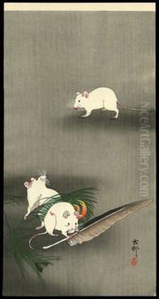 Three Mice, One Of Them Nibbling A Feather Oil Painting by Ohara Koson