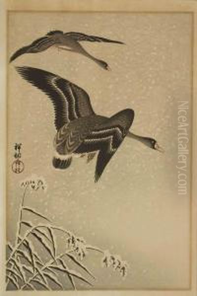 Zwei Fliegende Grauganse In Winterlandschaft Oil Painting by Ohara Koson