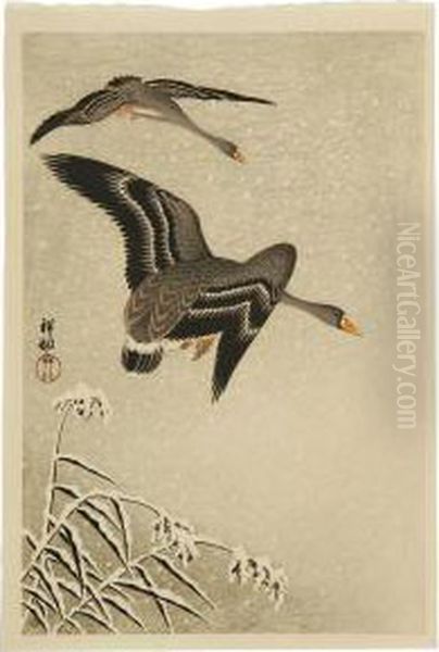 Snowy Reeds And Flying Ducks Oil Painting by Ohara Koson