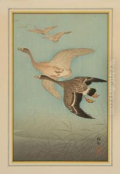 Wild Geese In Flight