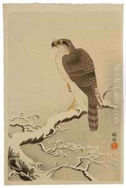 Hawk On A Snow-covered Tree Branch Oil Painting by Ohara Koson