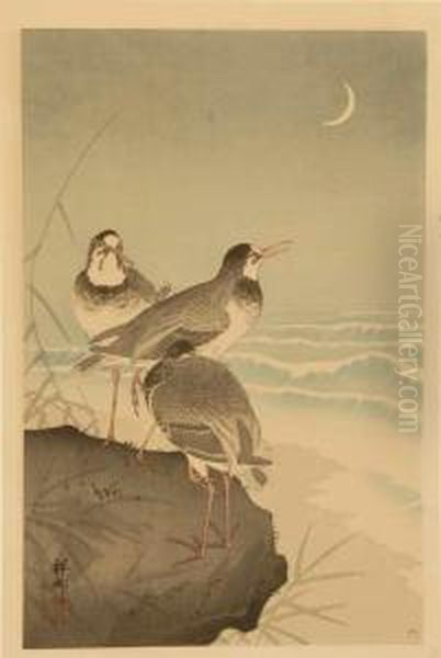 Plovers By The Seaside Oil Painting by Ohara Koson