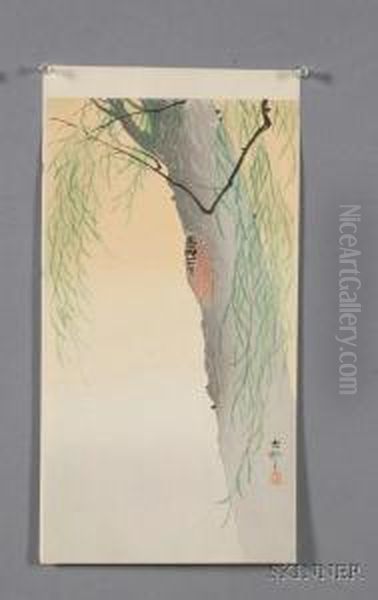 Cicada On Willow Oil Painting by Ohara Koson