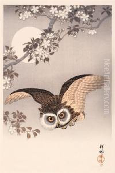 Oban Tate-e. Fliegende Eule Im Mondlicht Unter Bluhendem Oil Painting by Ohara Koson