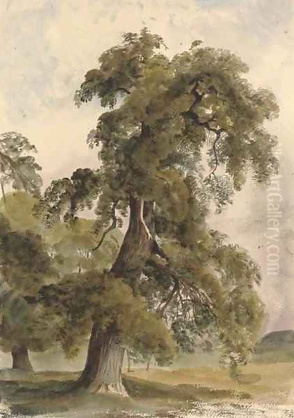 The park at Shrubland Hall, Suffolk Oil Painting by Harriet Cheney