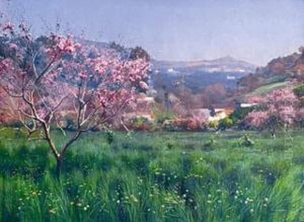 Cerisiers En Fleurs Pres Du Village De Castagniers. Oil Painting by Josif Evstaf'Evic Krackovskij