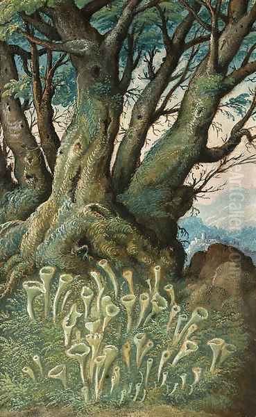 Cladonia pixidata (Lichen) and Carpinus betulus (Hornbeam) Oil Painting by Gherado Cibo