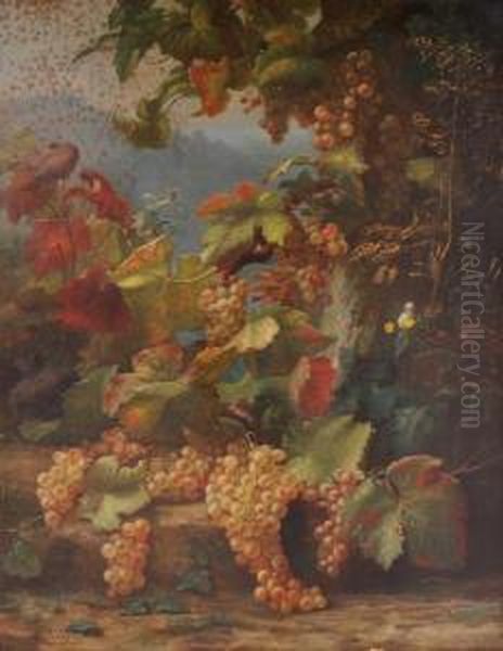 Grappoli D'uva Oil Painting by Alexis Kreyder